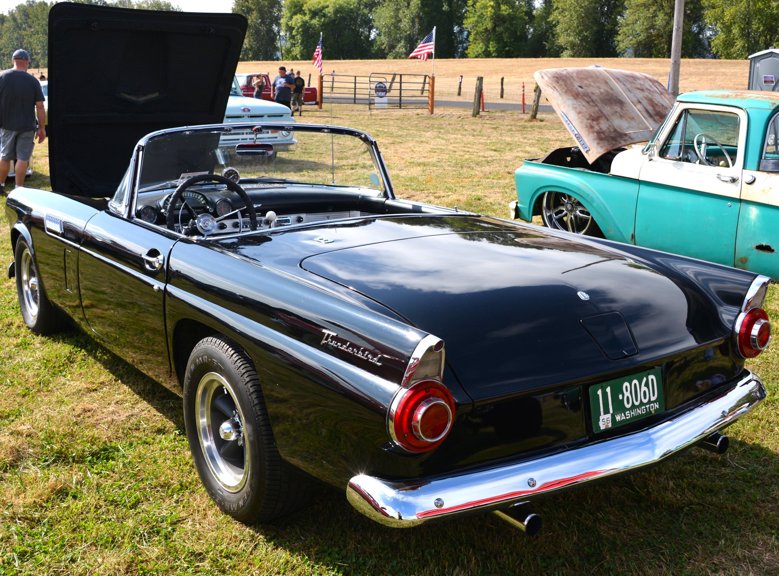 DSC_8619.JPG