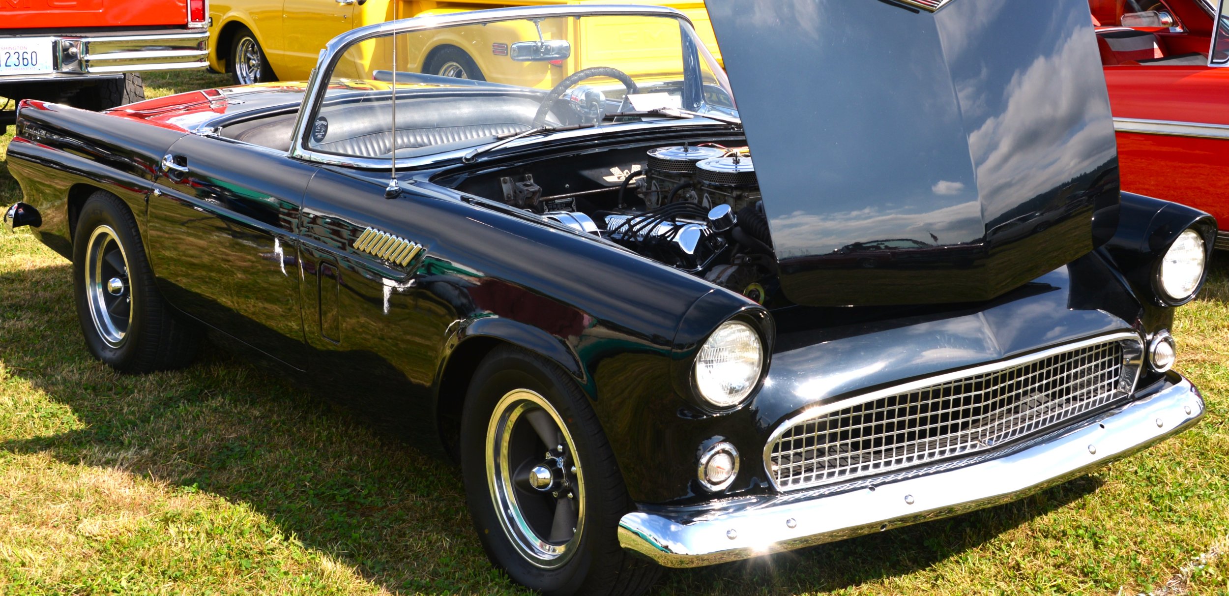DSC_8623.JPG