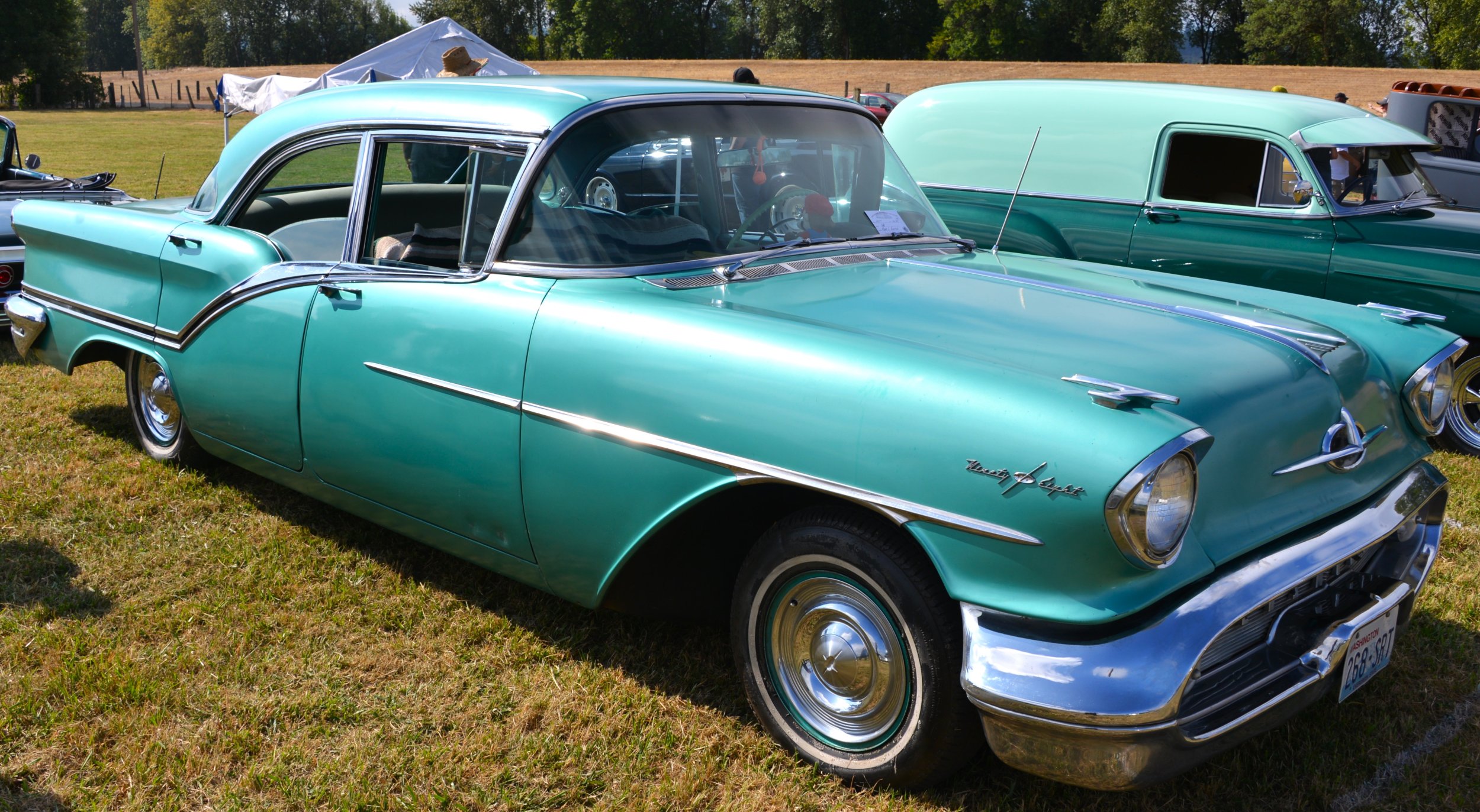 DSC_8643.JPG