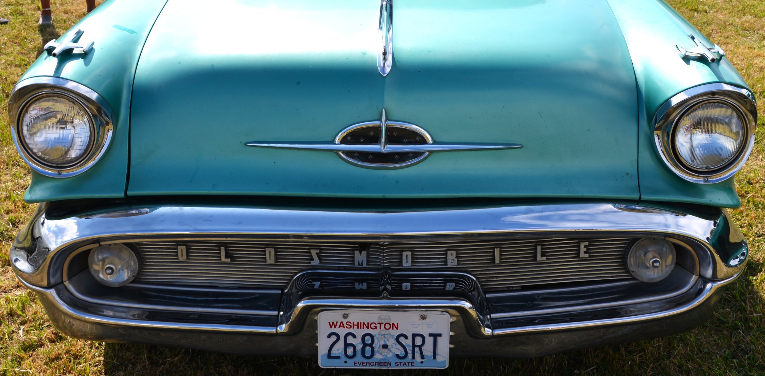 DSC_8646.JPG