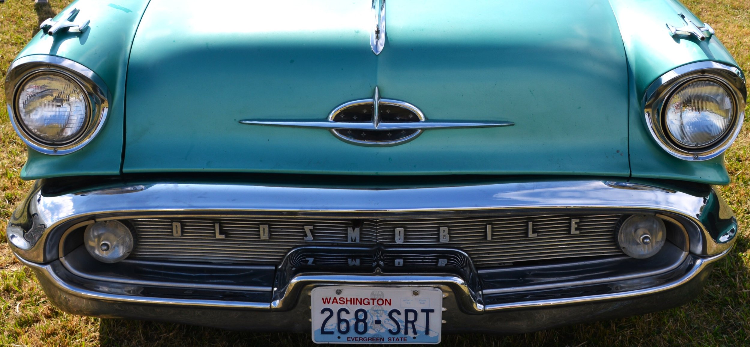 DSC_8646.JPG