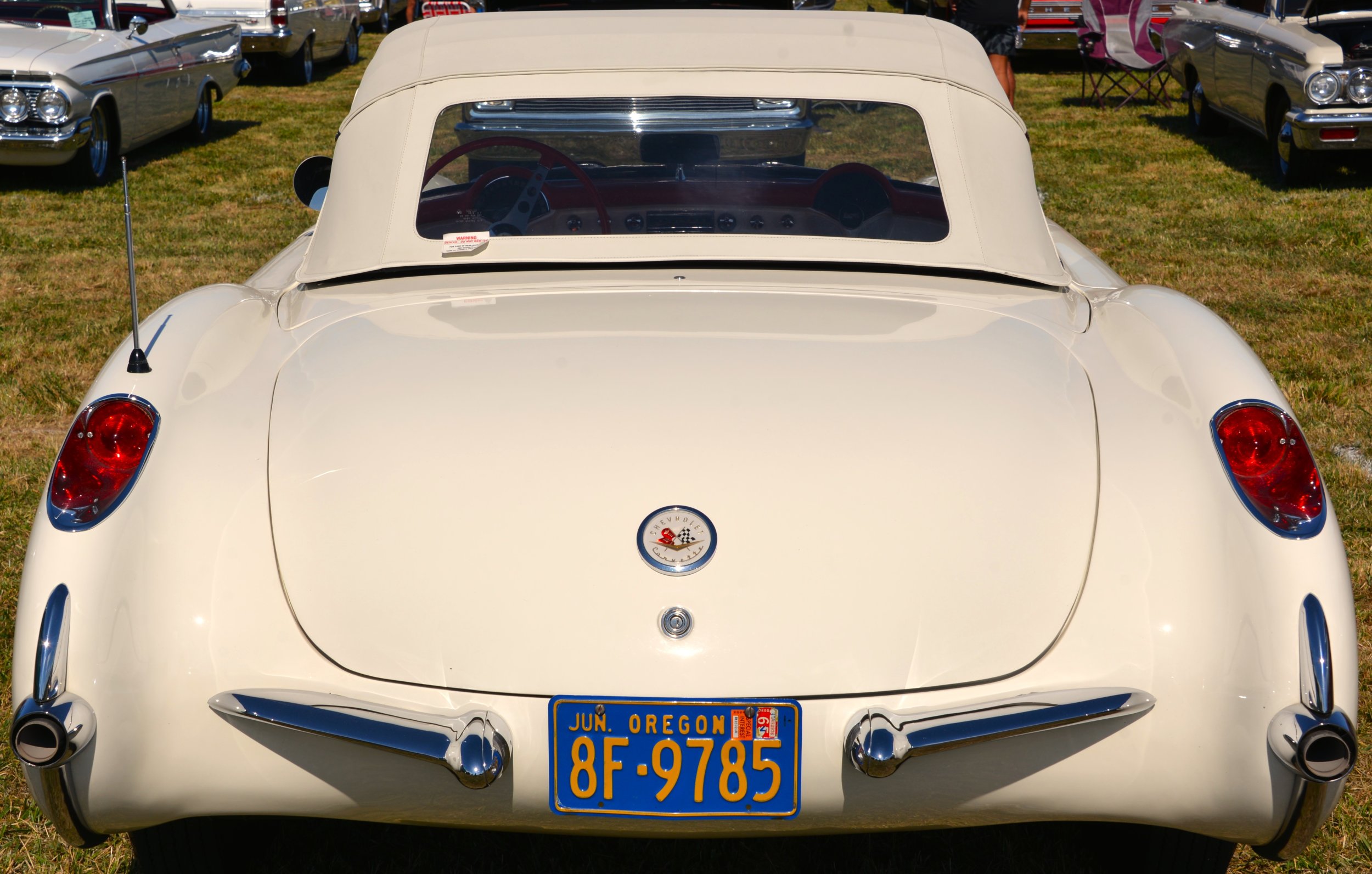 DSC_8727.JPG