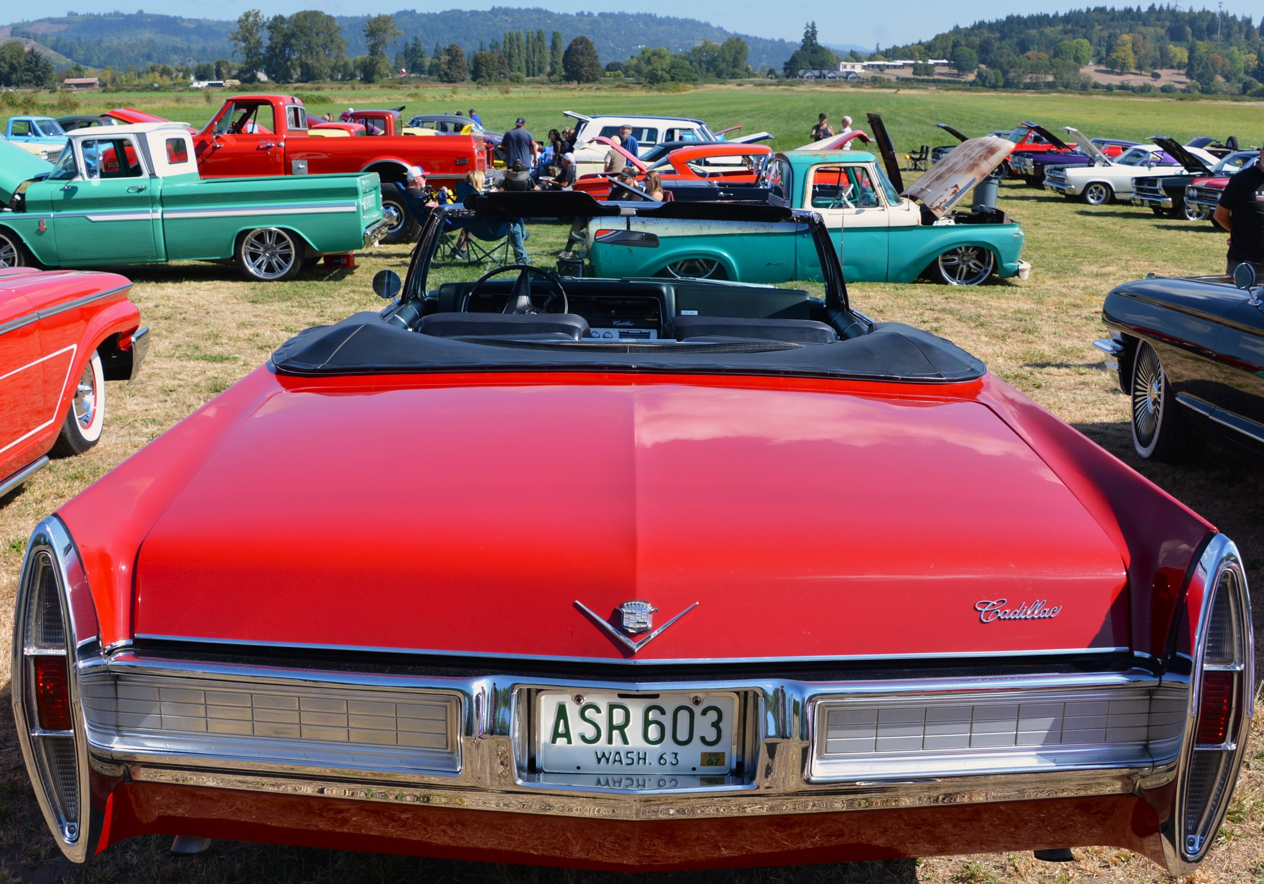 DSC_8762.JPG