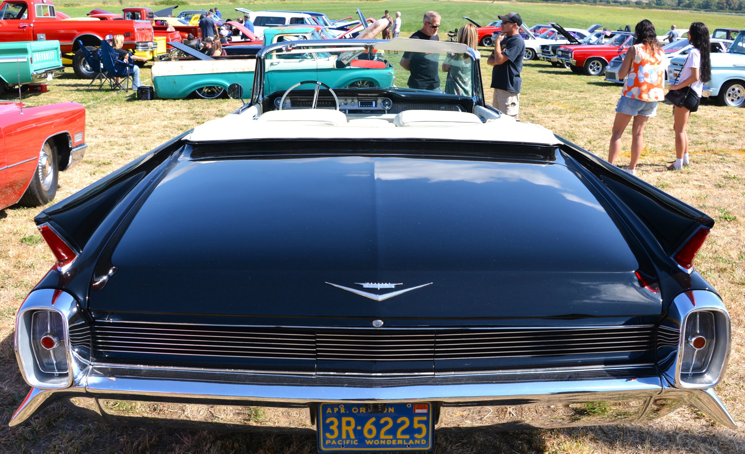 DSC_8763.JPG