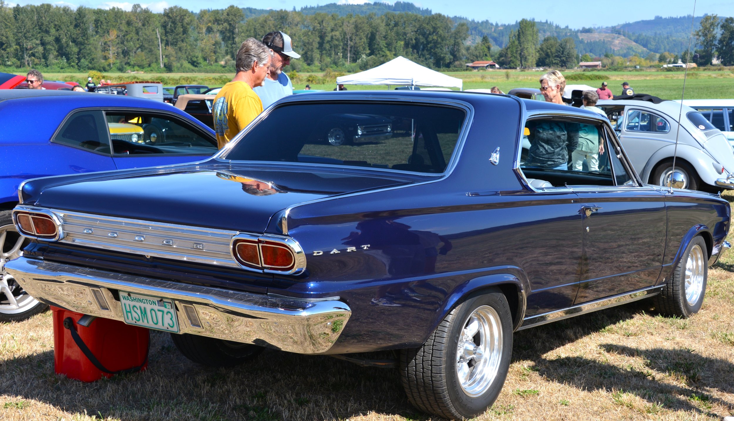 DSC_8772.JPG