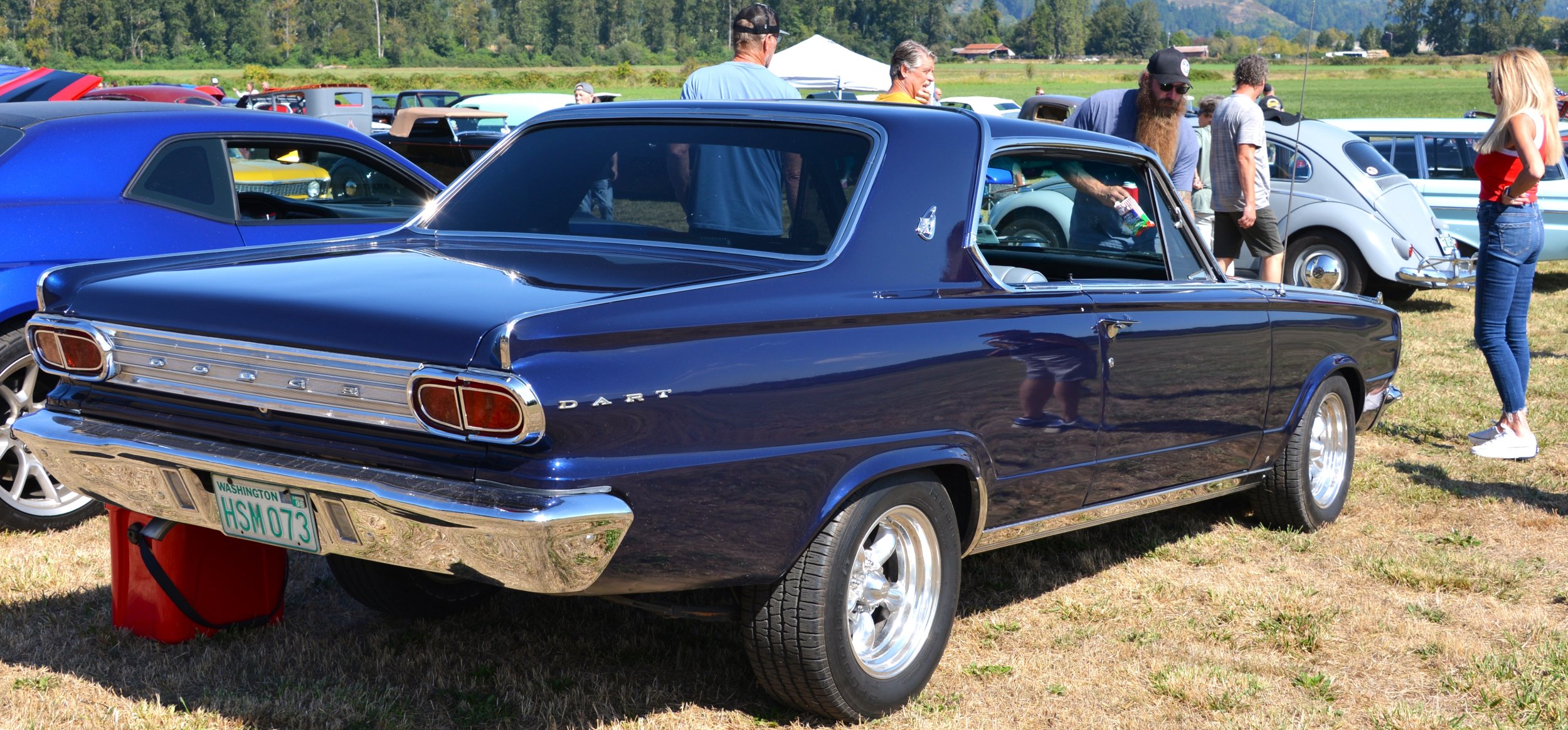 DSC_8774.JPG