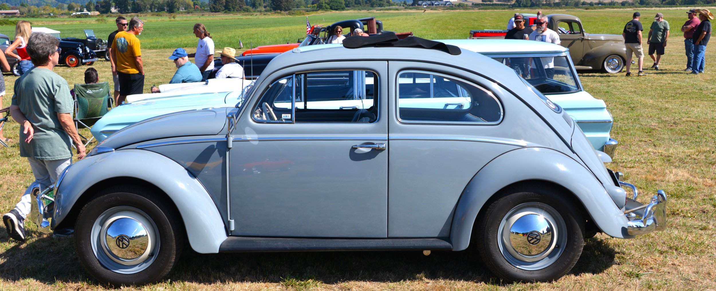 DSC_8780.JPG
