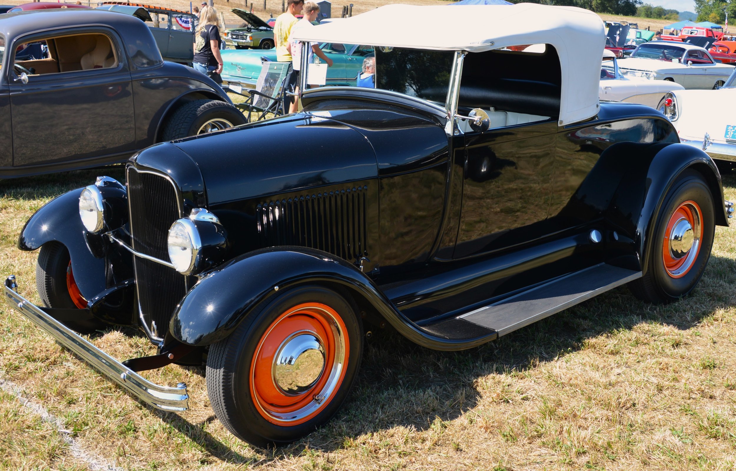 DSC_8795.JPG