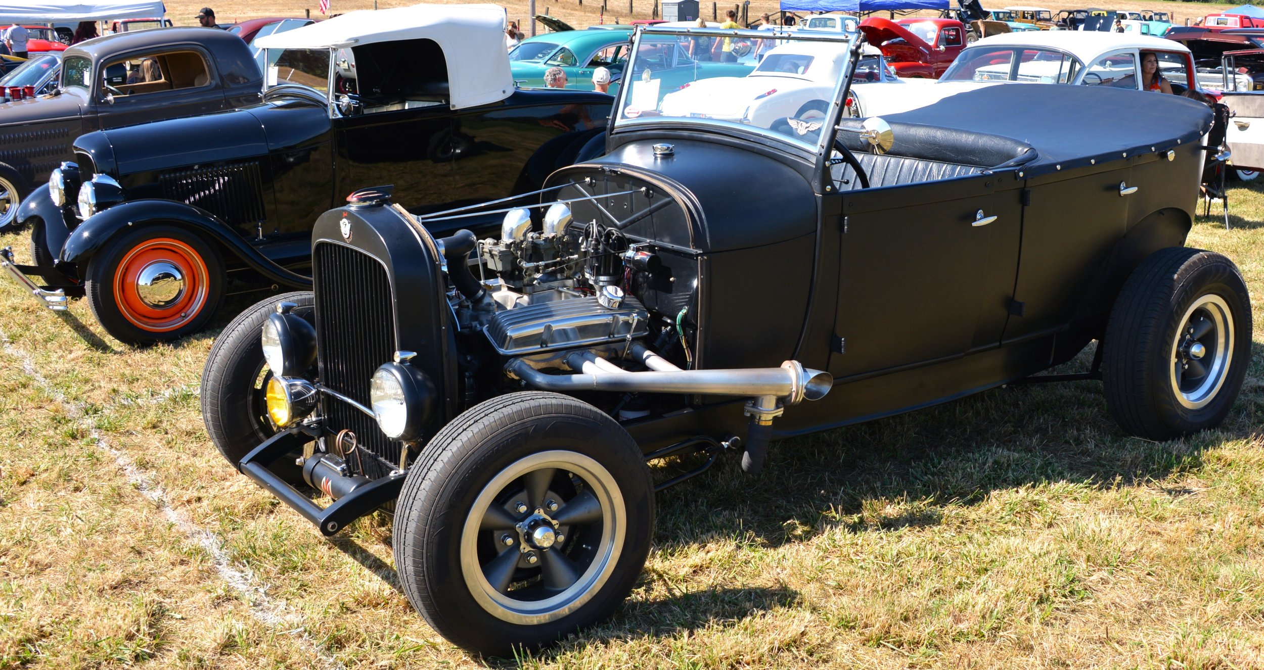 DSC_8800.JPG