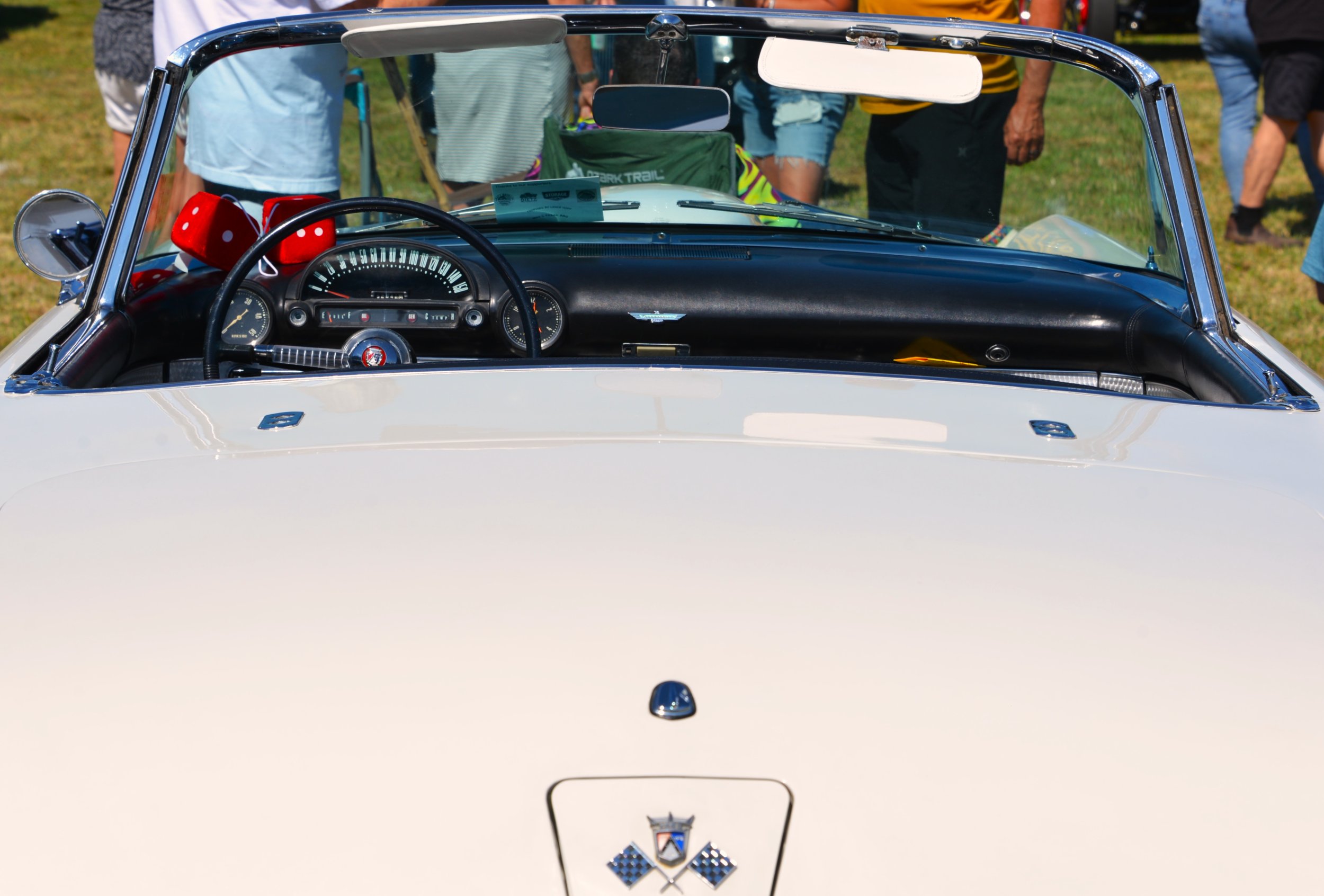 DSC_8819.JPG