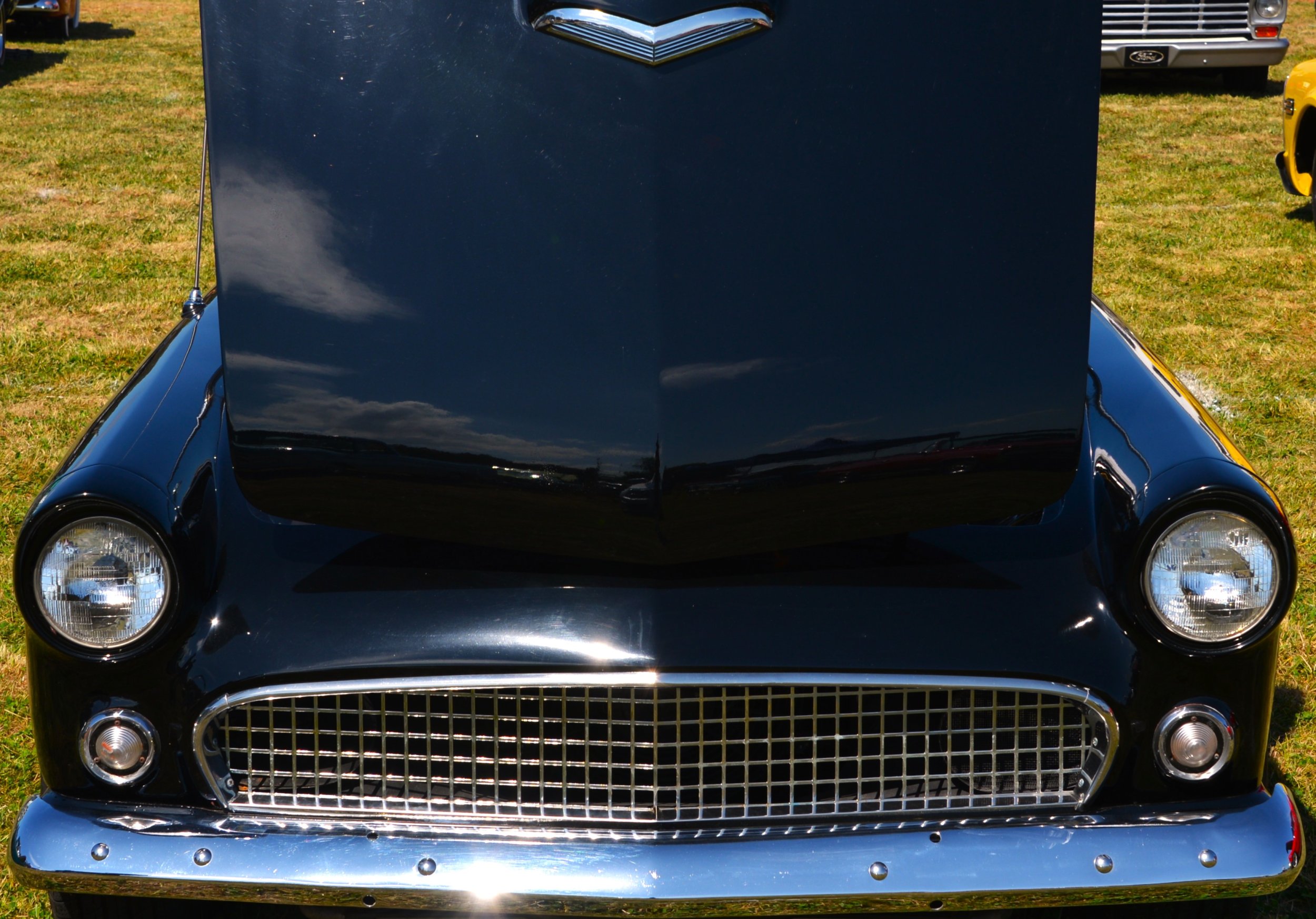 DSC_8829.JPG