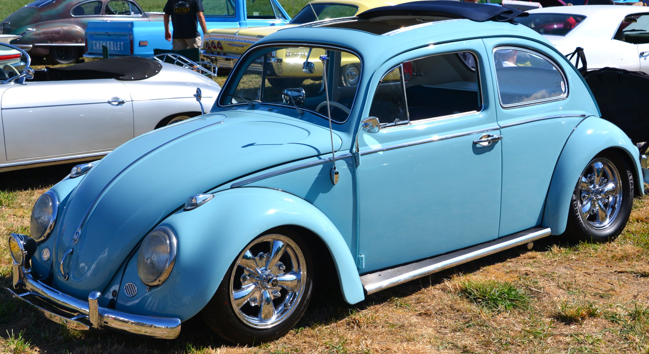 DSC_8847.JPG