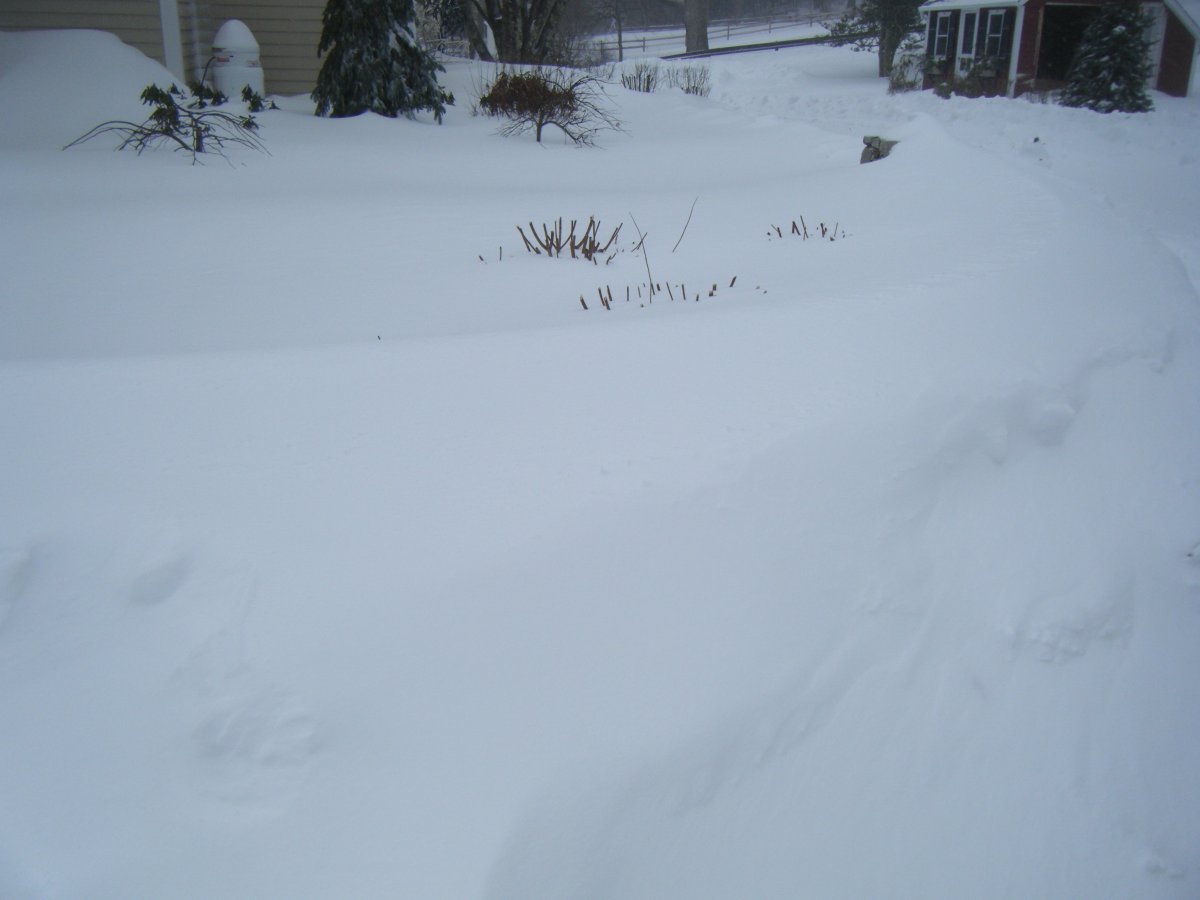 DSCF0003.JPG