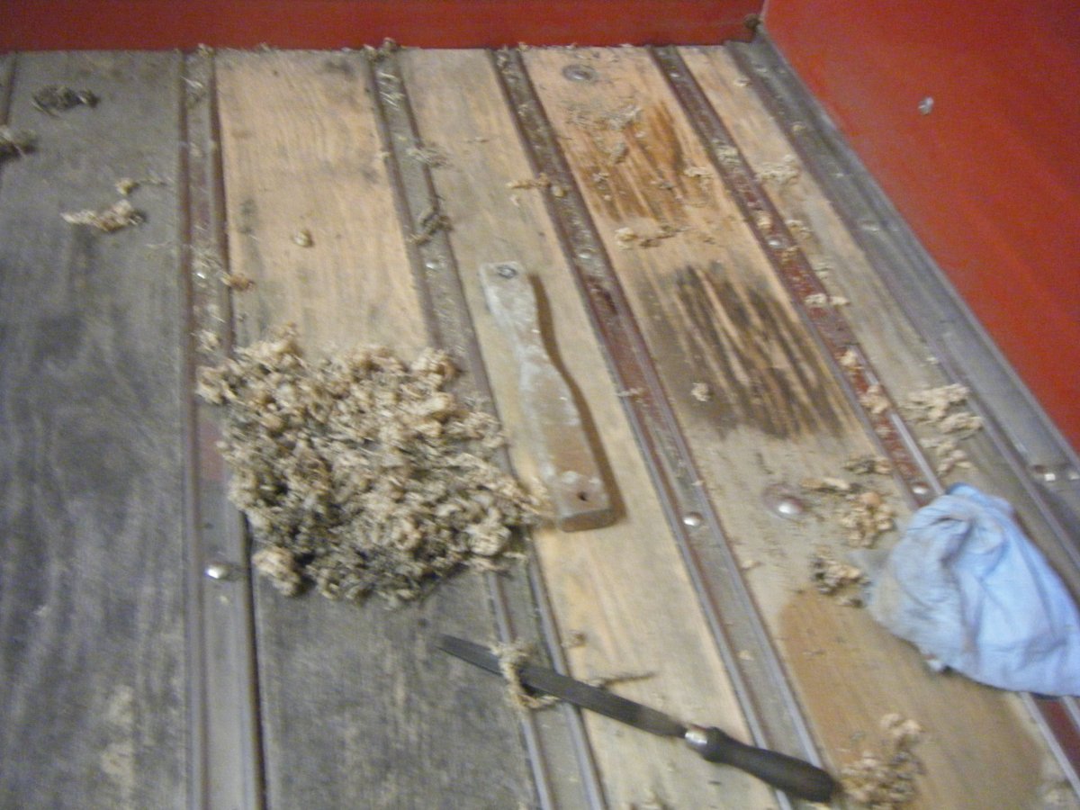 DSCF0009.JPG