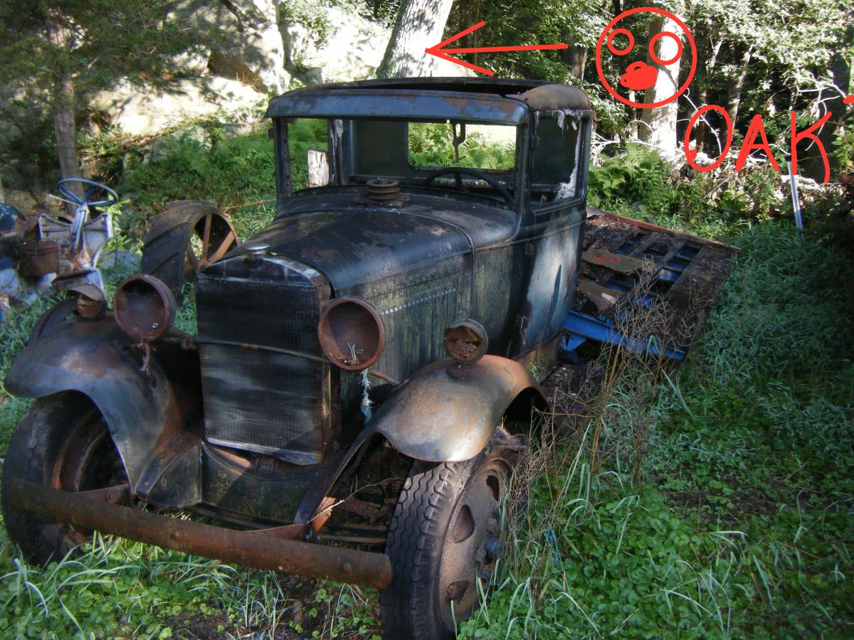 DSCF0917.JPG