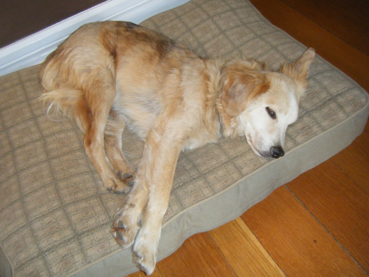 DSCF2984.JPG