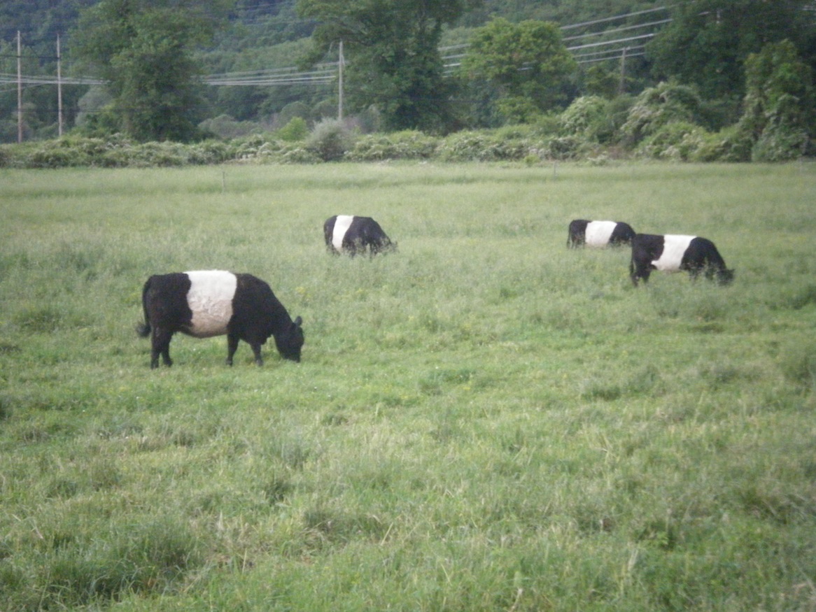 DSCF2996.JPG