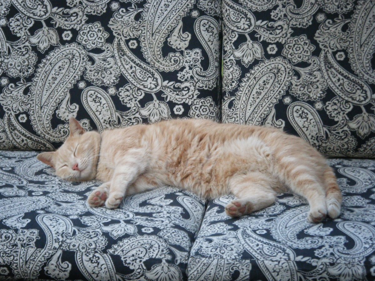 DSCF3308.JPG