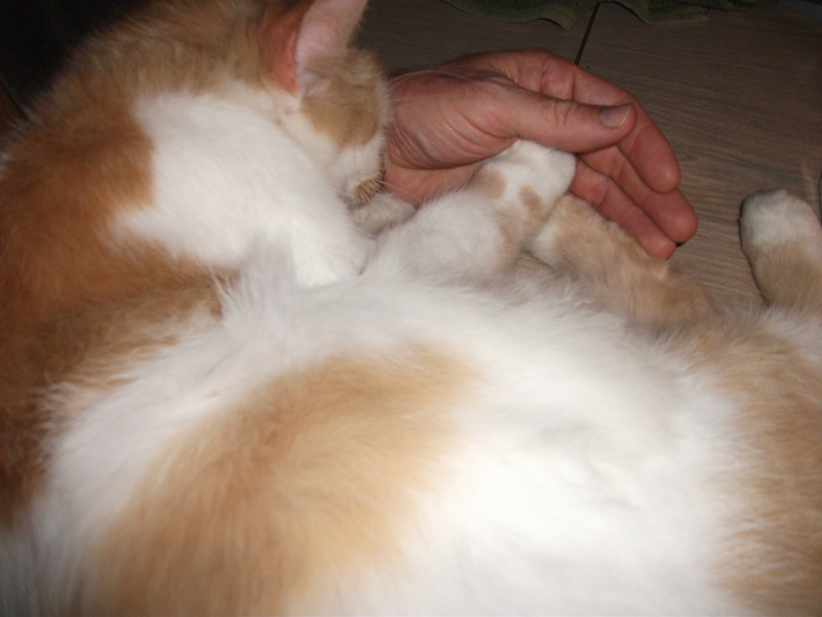DSCF3740.JPG