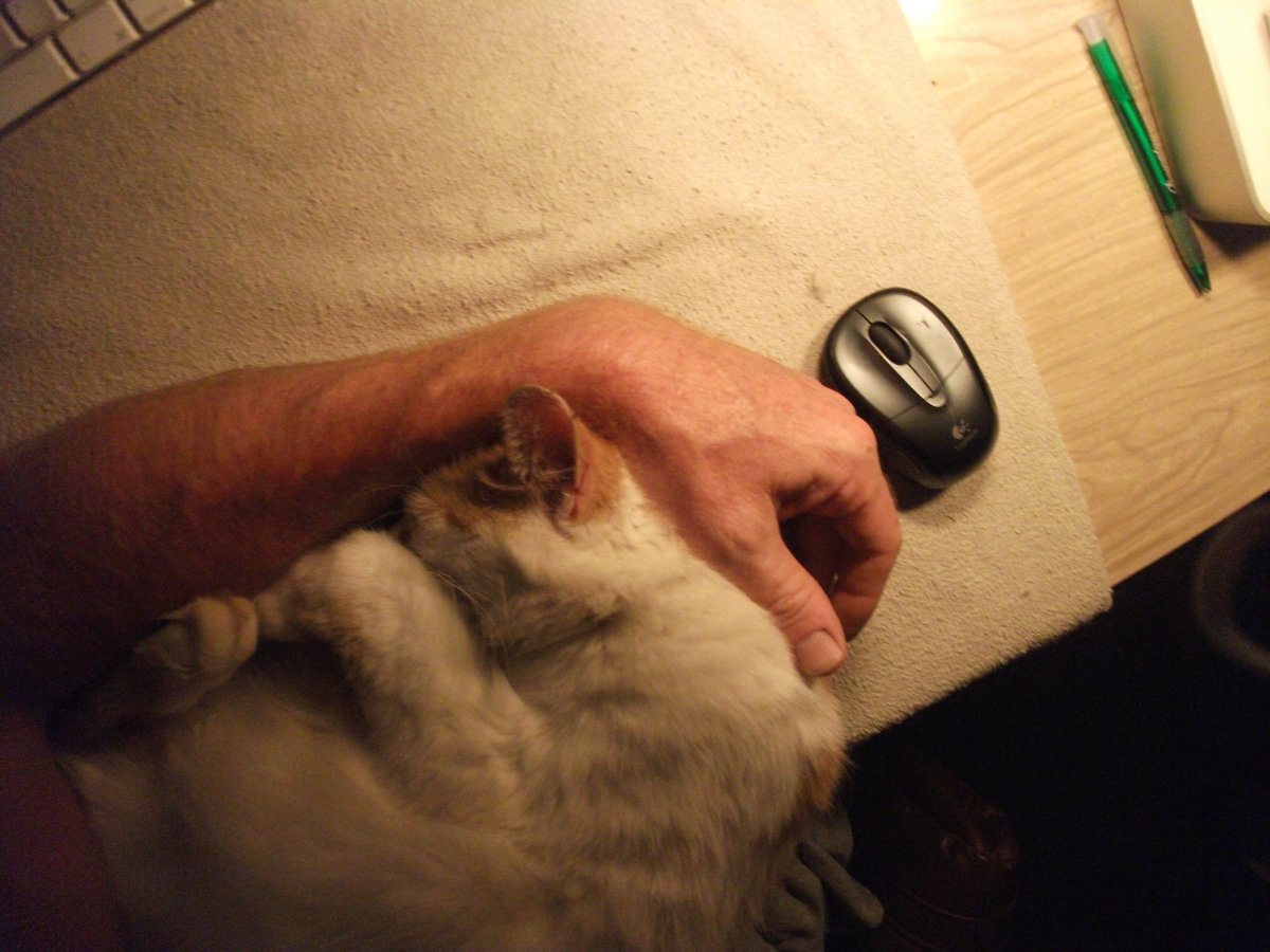 DSCF4106.JPG