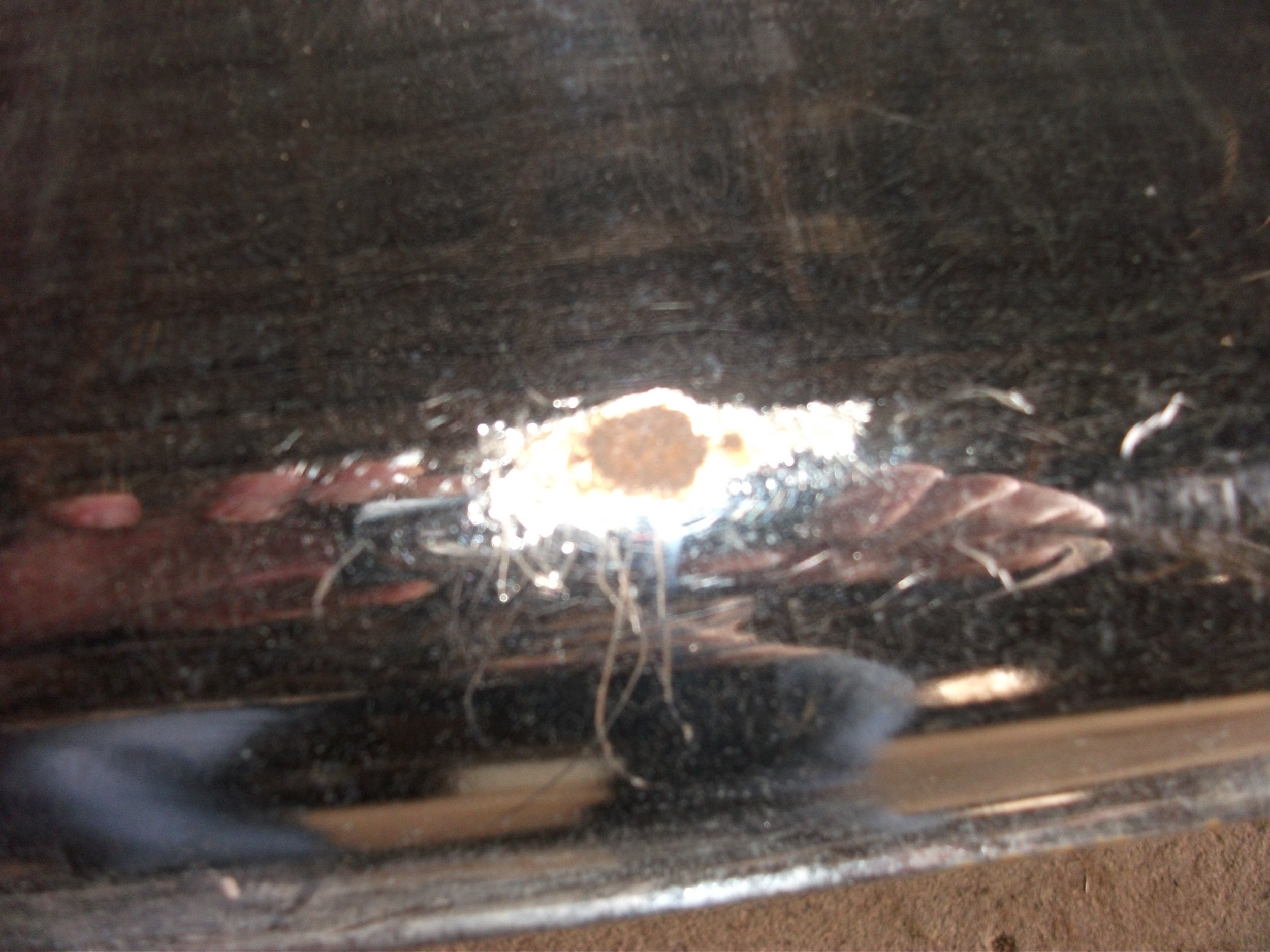 DSCF4126.JPG