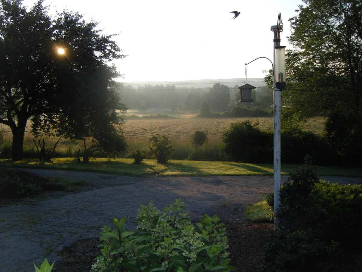 DSCF4193.JPG
