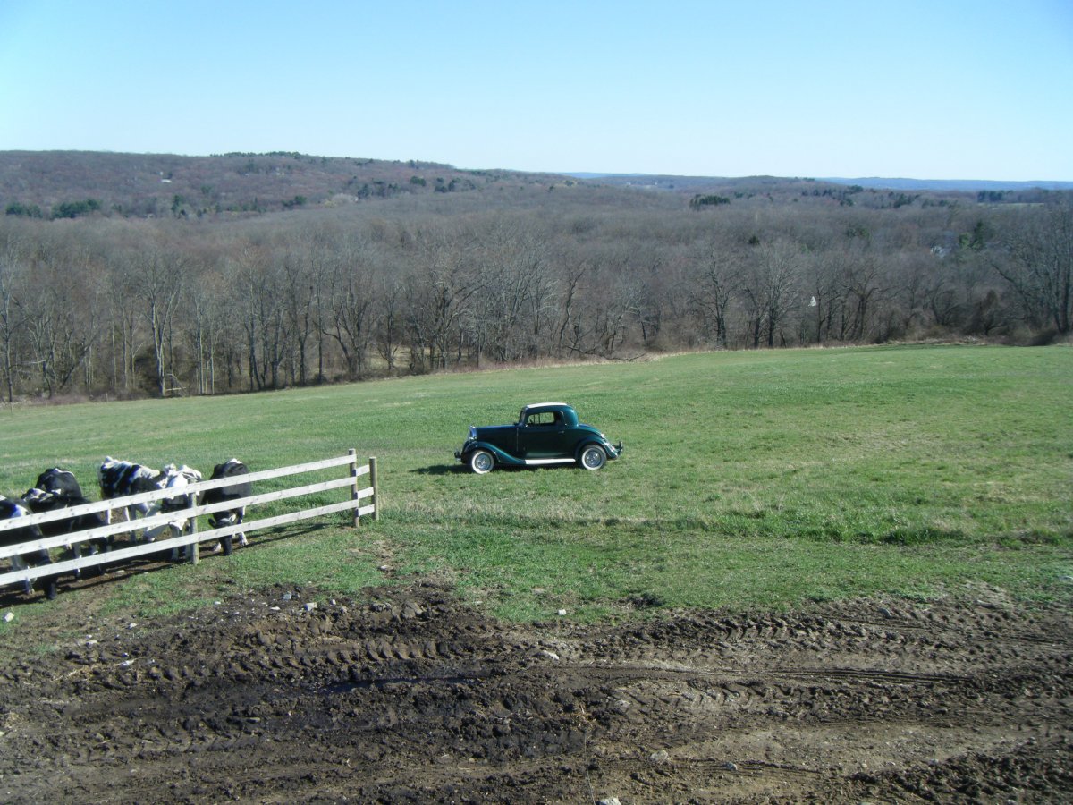 DSCF4950.JPG