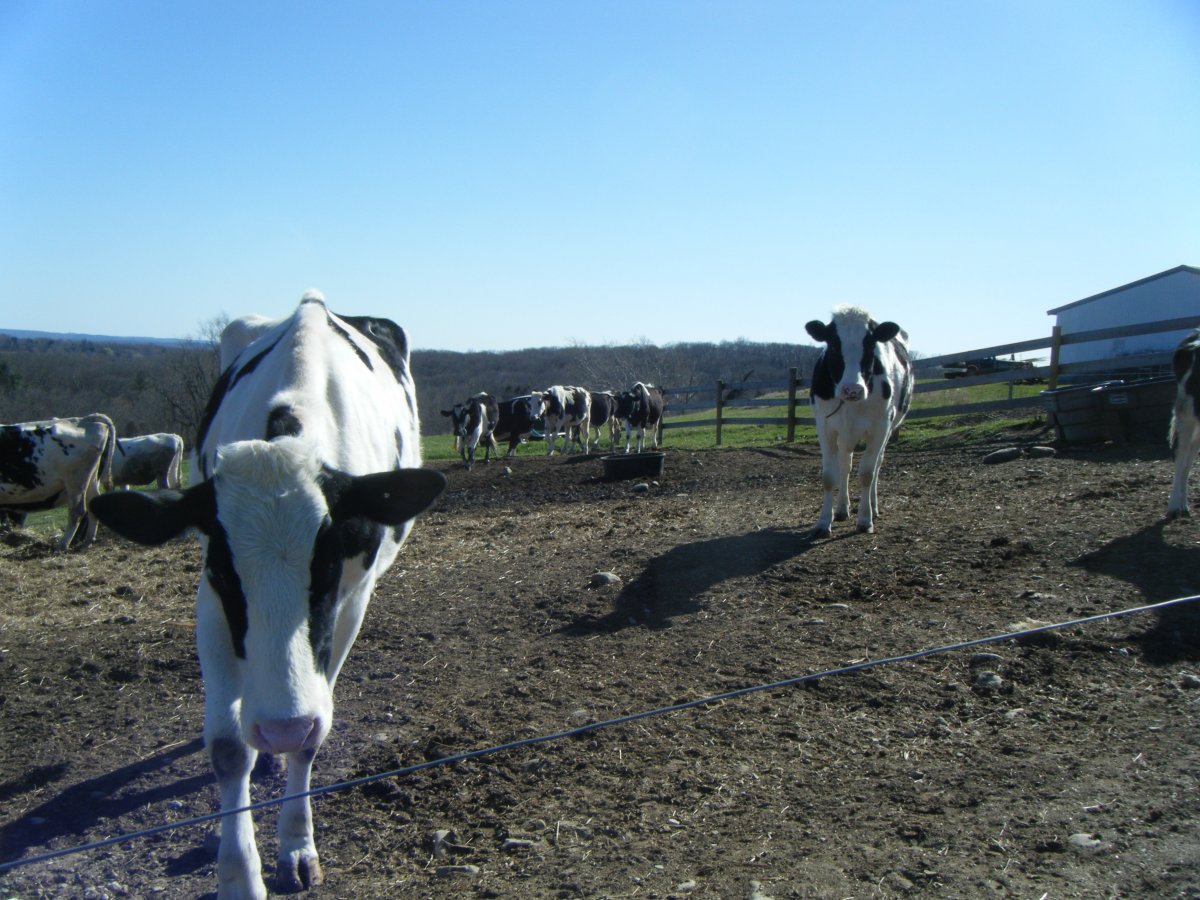 DSCF4951.JPG