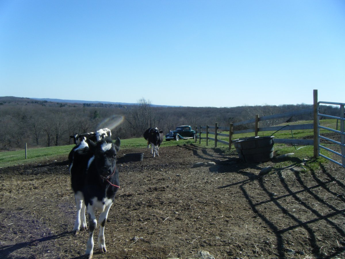 DSCF4952.JPG