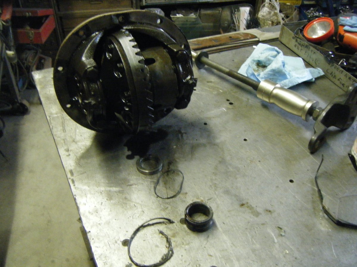 DSCF5716.JPG