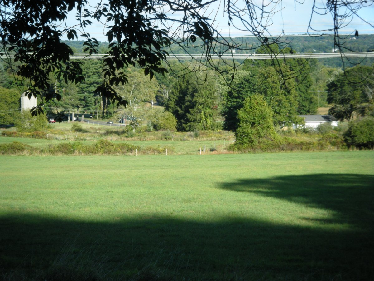 DSCF5719.JPG