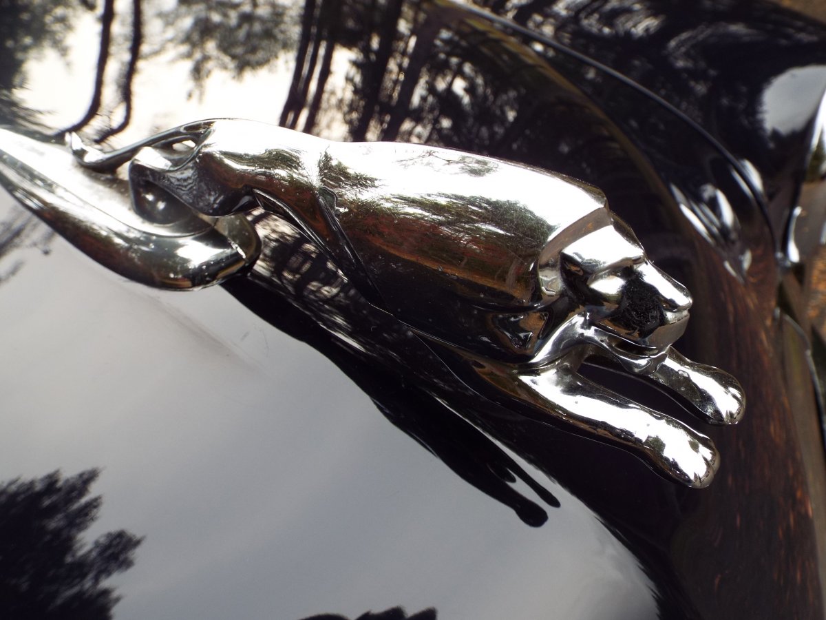 DSCF8729.JPG