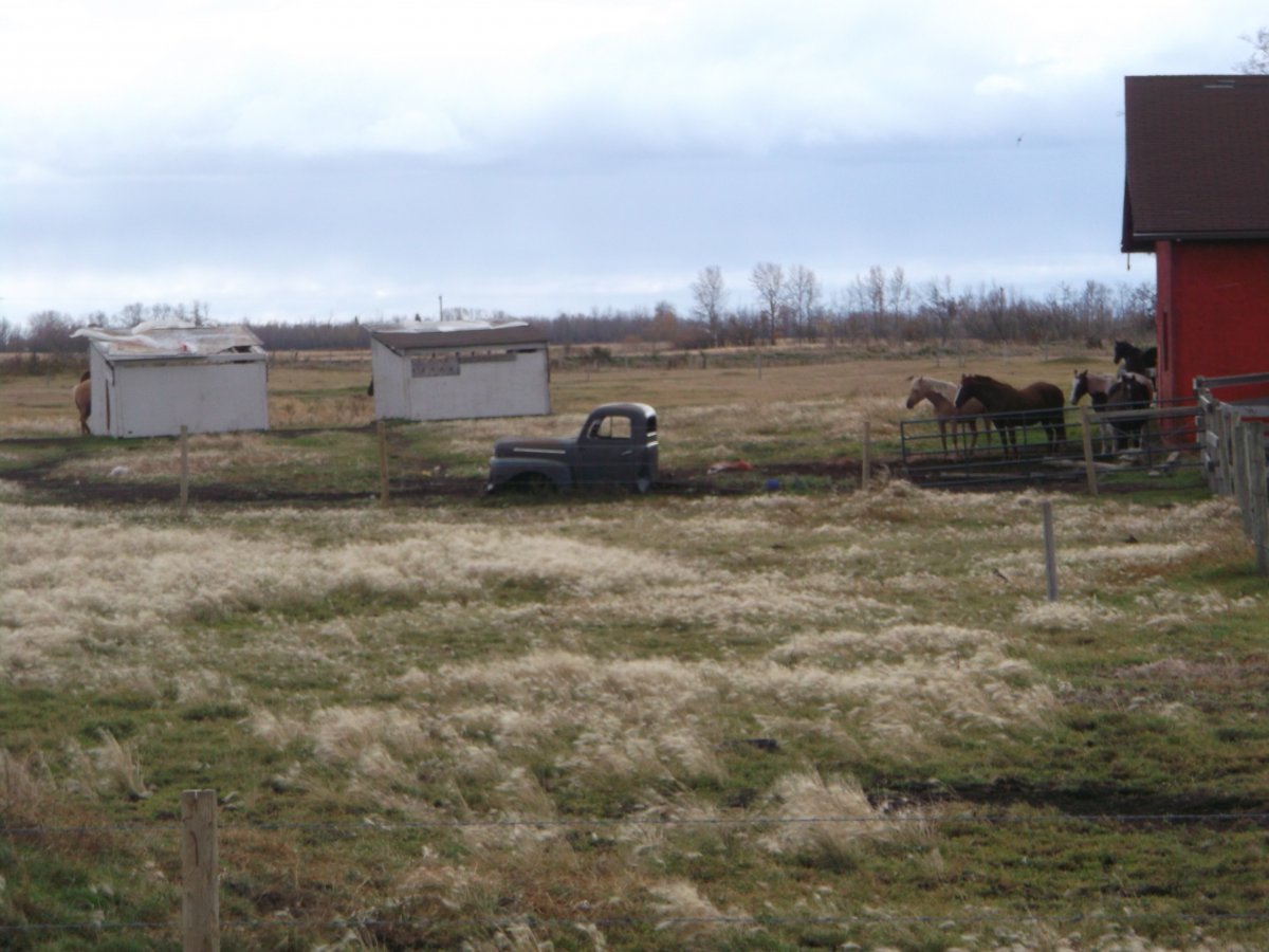 DSCF9303.JPG