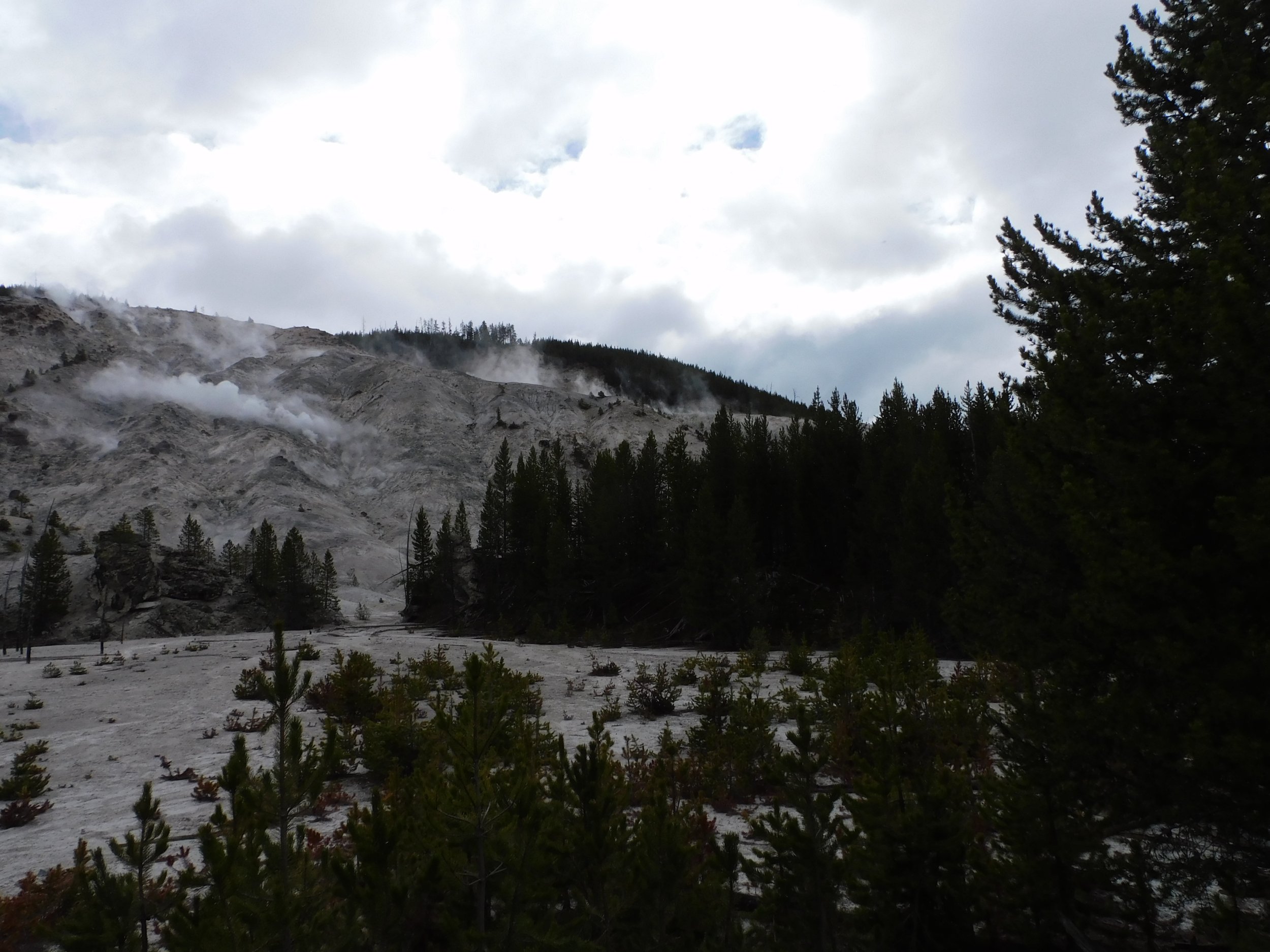 DSCN0064.JPG