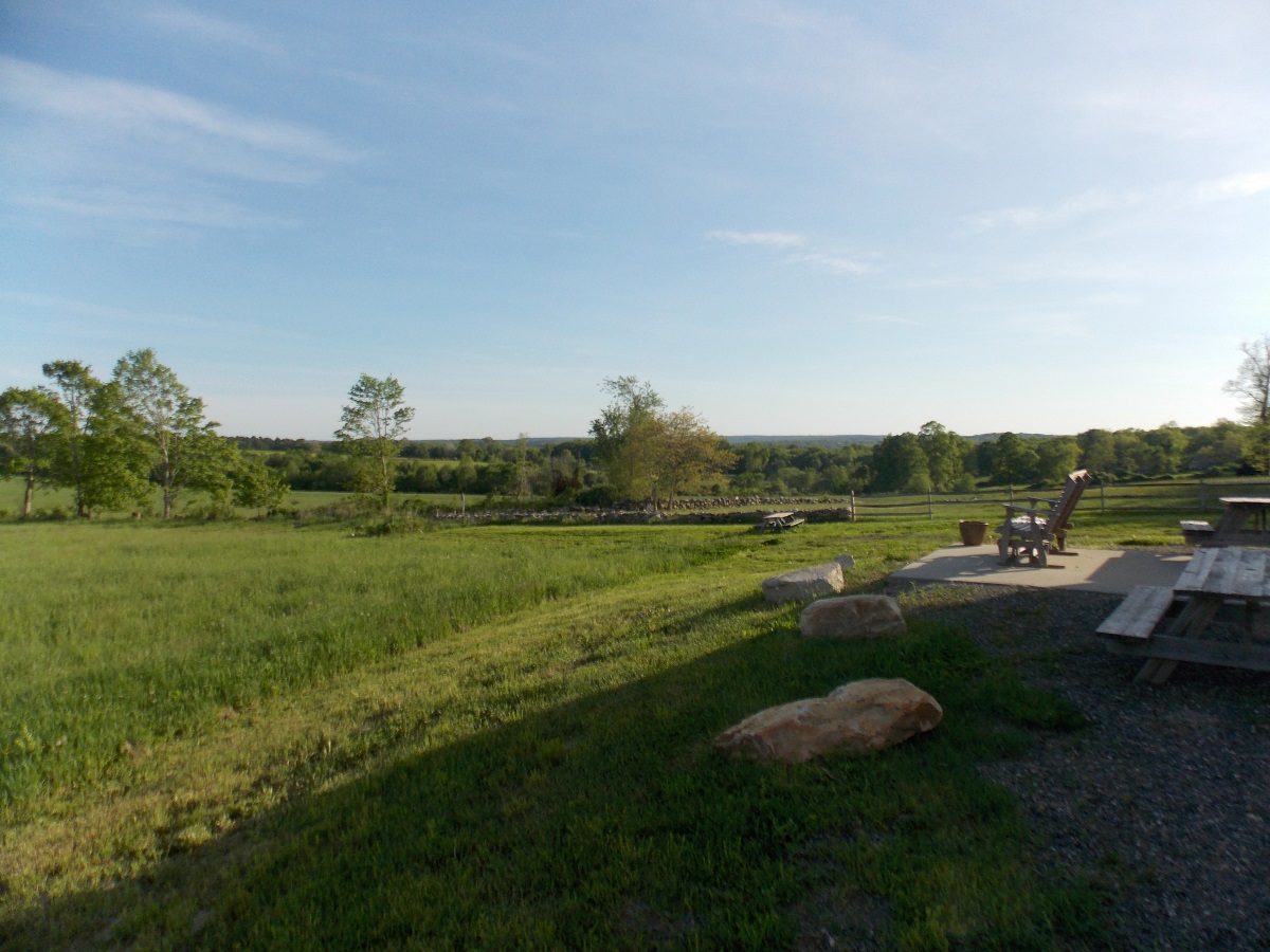 DSCN0110.JPG