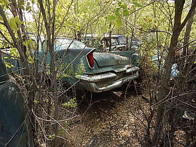 DSCN0327.JPG