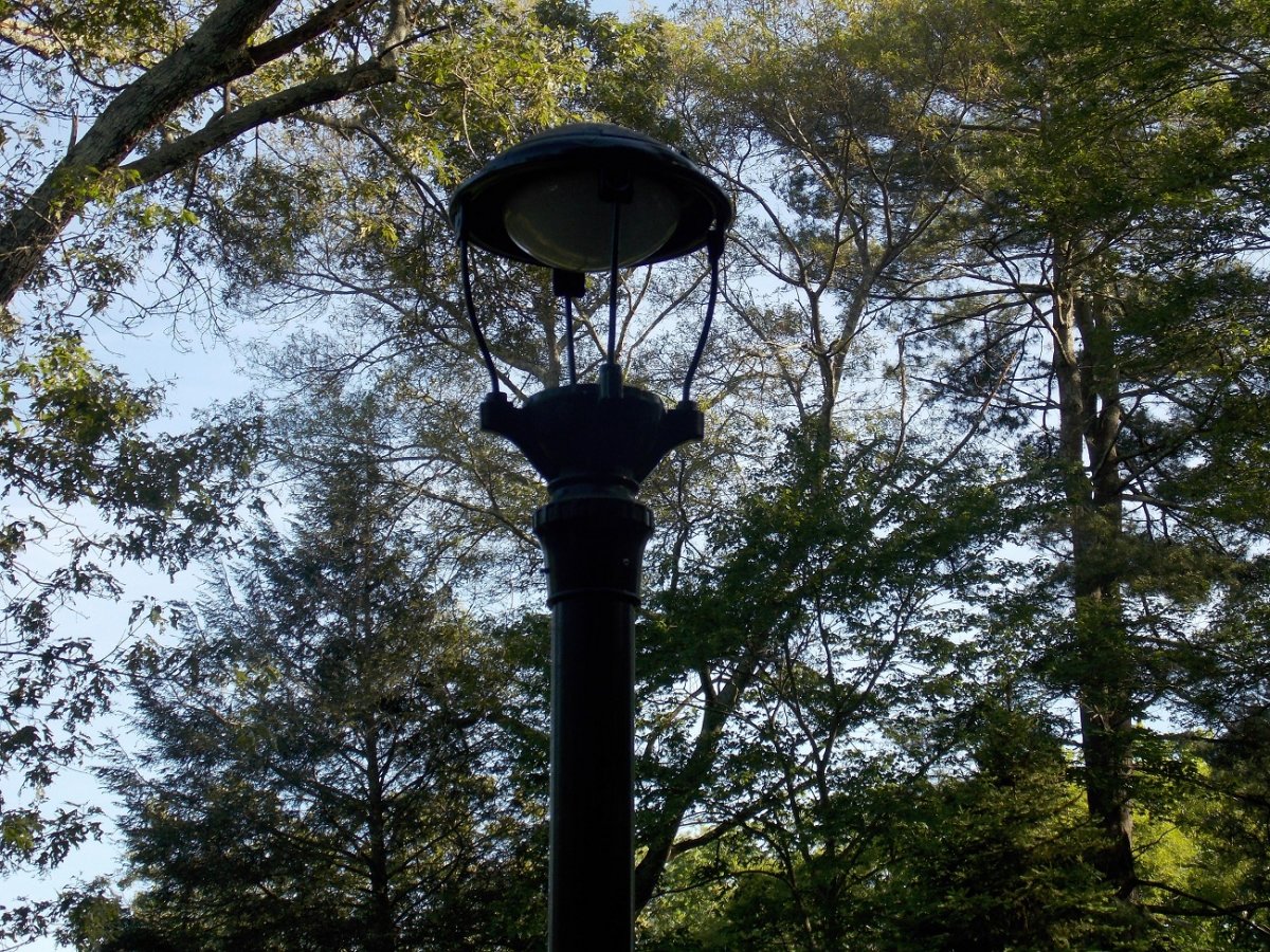DSCN0478.JPG