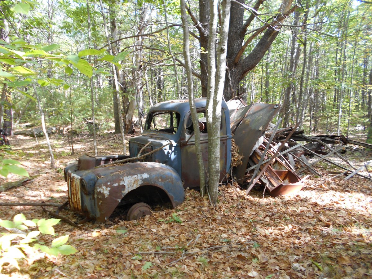 DSCN0511.JPG