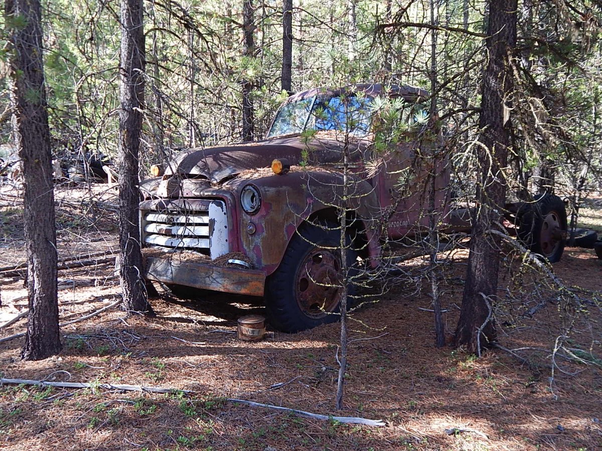 DSCN0582.JPG