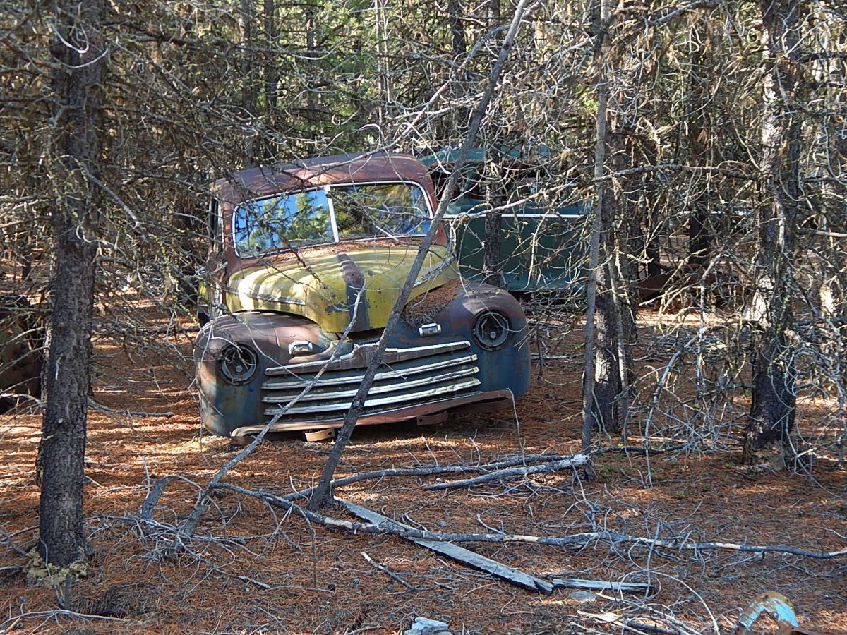 DSCN0585.JPG