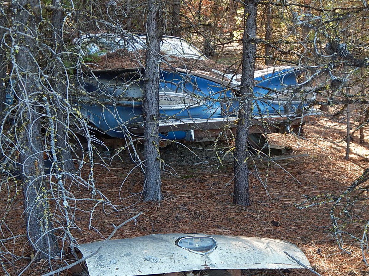 DSCN0591.JPG