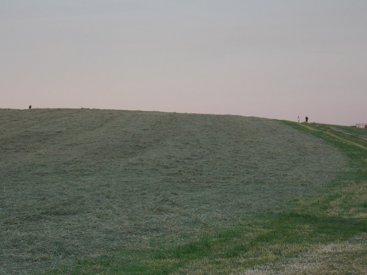 DSCN0630.JPG