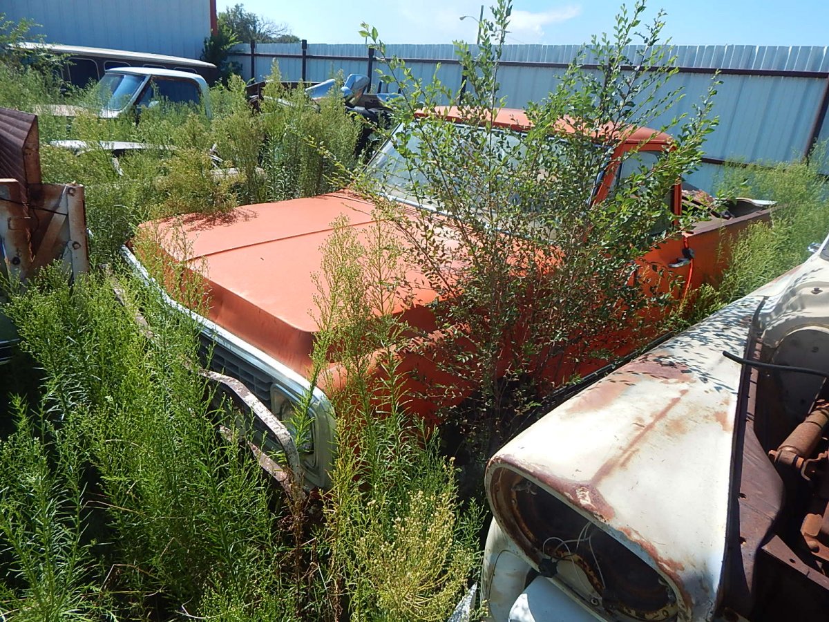 DSCN0705.JPG