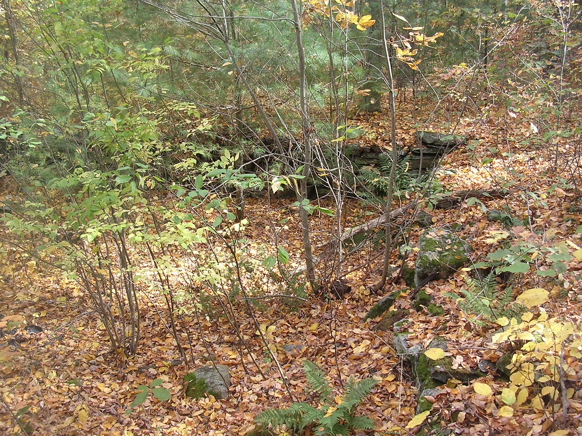 DSCN0762.JPG