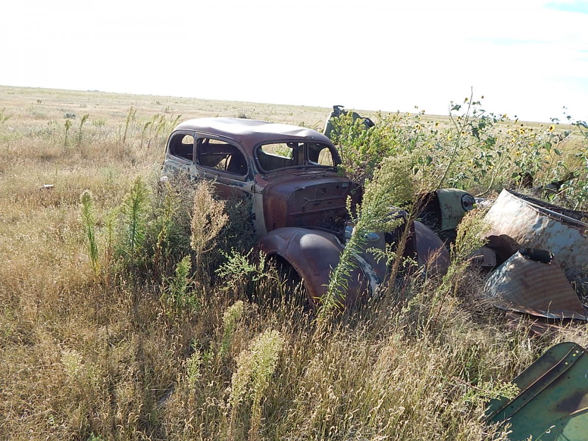 DSCN0807.JPG