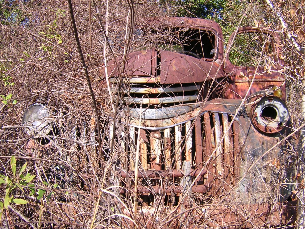 DSCN0901.JPG