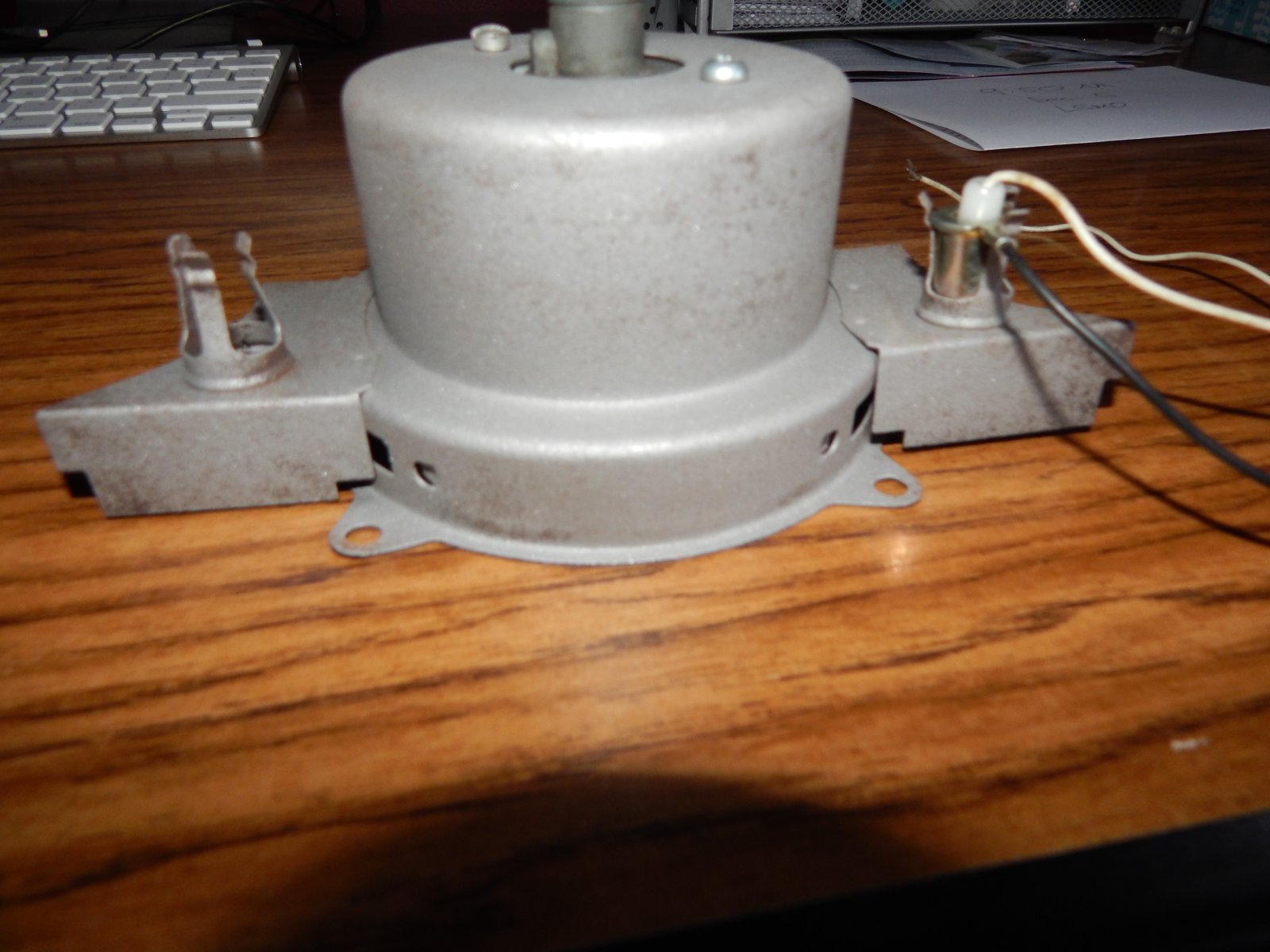DSCN0981.jpg