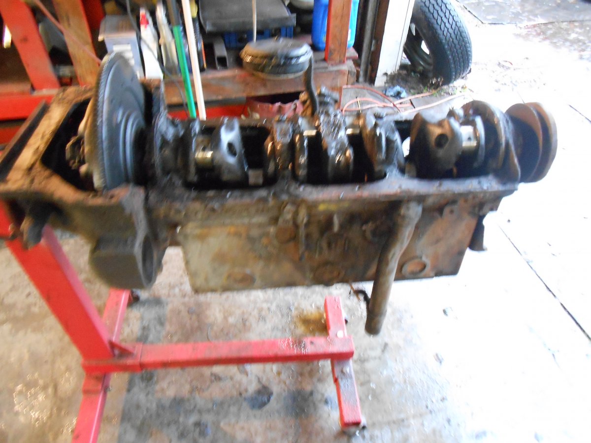 DSCN1141.JPG