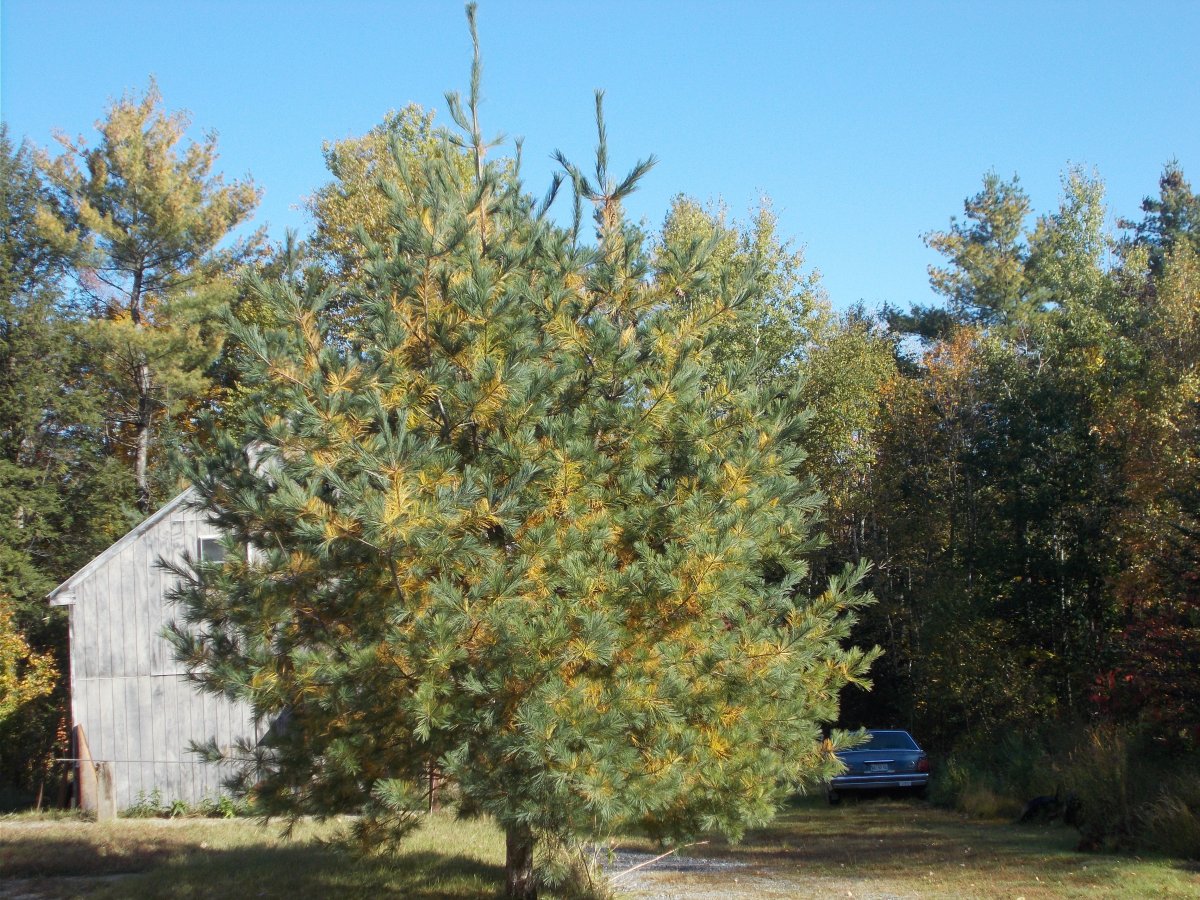 DSCN1483.JPG