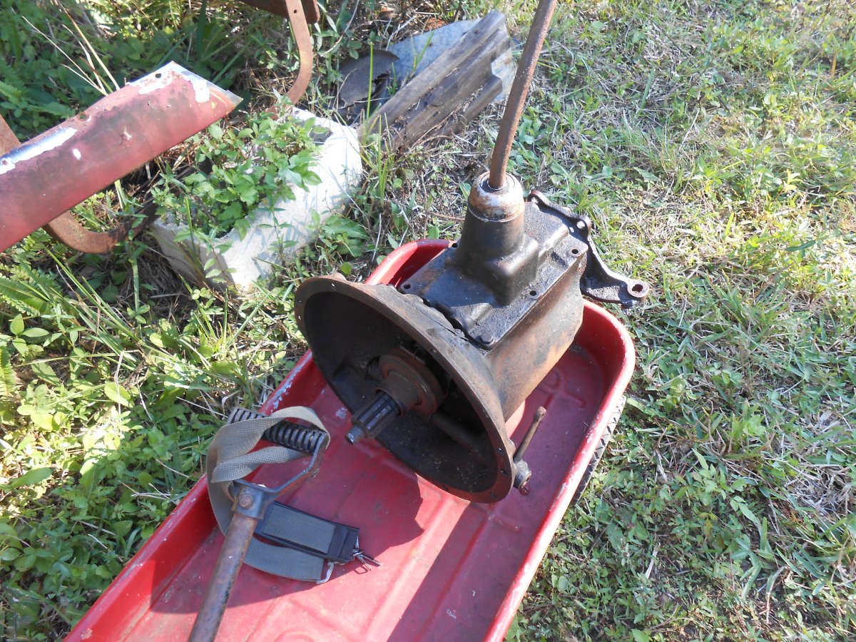 DSCN1631.JPG